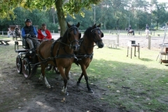 orientierungsfahrt_2018104_20180909_1084323423