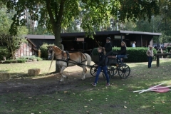 orientierungsfahrt_2018106_20180909_1327911587