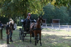 orientierungsfahrt_201885_20180909_1386802429