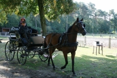 orientierungsfahrt_201886_20180909_1975286253