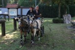 orientierungsfahrt_201887_20180909_1775646960