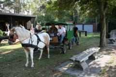 orientierungsfahrt_201889_20180909_1314022606