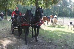 orientierungsfahrt_201895_20180909_1125869594