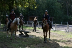 orientierungsfahrt_201898_20180909_1811841714
