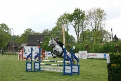 reittunier_201881_20180501_1970738118