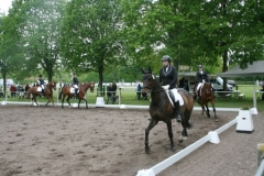 reittunier_201893_20180501_2060461316