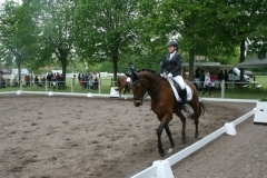 reittunier_201894_20180501_2014456440