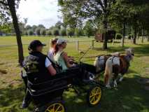 IMG-20210925-WA0219