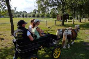 2021 Schnuppertag Kutsche fahren