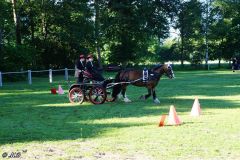 Fahrturnier_2022_007