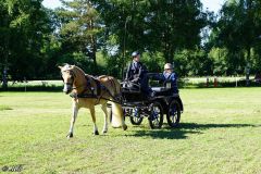 Fahrturnier_2022_013