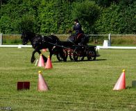 Fahrturnier_2022_024