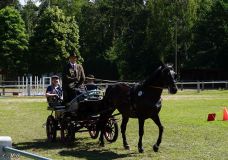 Fahrturnier_2022_026