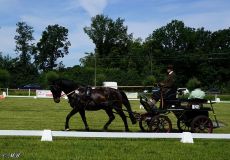 Fahrturnier_2022_034