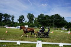 Fahrturnier_2022_036