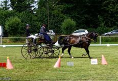 Fahrturnier_2022_037