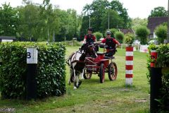 Fahrturnier_2022_040