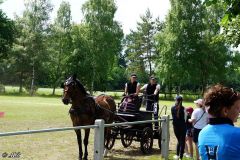 Fahrturnier_2022_041
