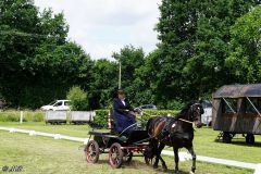 Fahrturnier_2022_044