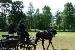 Fahrturnier_2022_41b