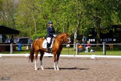 Dressurtag_Turnier_2022_021