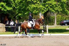 Dressurtag_Turnier_2022_031