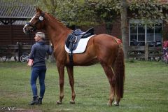 Dressurtag_extra_Turnier_2022_010
