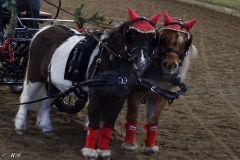 2022-Weihnachtsreiten-031