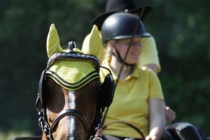 2023 Fahrturnier Dressur