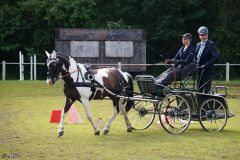 2024-Fahrturnier-WBO006