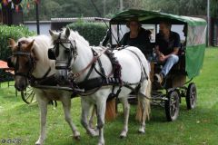 2024-O-Fahrt-2024-Bilder-R-MB018