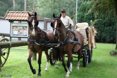 2024-O-Fahrt-2024-Bilder-R-MB021