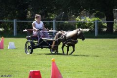 2024-O-Fahrt-2024-Bilder-R-MB047