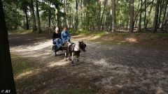 2024-O-Fahrt-2024-Bilder-Helmut007