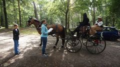 2024-O-Fahrt-2024-Bilder-Helmut013