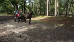 2024-O-Fahrt-2024-Bilder-Helmut020
