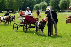 2024-Shettytag-Impressionen015
