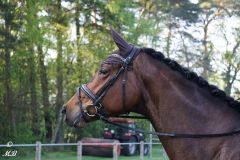 2025-Reitturnier-Samstag-MB-019
