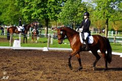 2025-Reitturnier-Samstag-MB-023