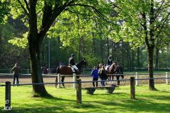 2025-Reitturnier-Samstag-MB-066