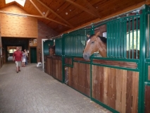 besichtigung_hof_sahle20_20130823_2070893061