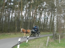 1_ausfahrt_201413_20140510_1903190868
