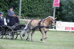 k-Fahrturnier-2017-003
