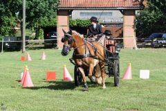 k-Fahrturnier-2017-077