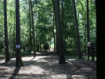 20140717_1002881409_fahrtunier_2014-0085