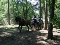 20140717_1146661400_fahrtunier_2014-0082
