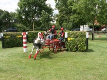 20140717_1217748204_fahrtunier_2014-0094