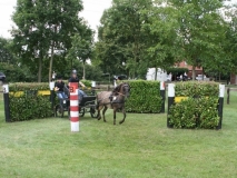 20140717_1248110515_fahrtunier_2014-0096