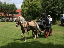 20140717_1355372484_fahrtunier_2014-0057