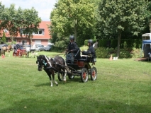 20140717_1407930624_fahrtunier_2014-0059